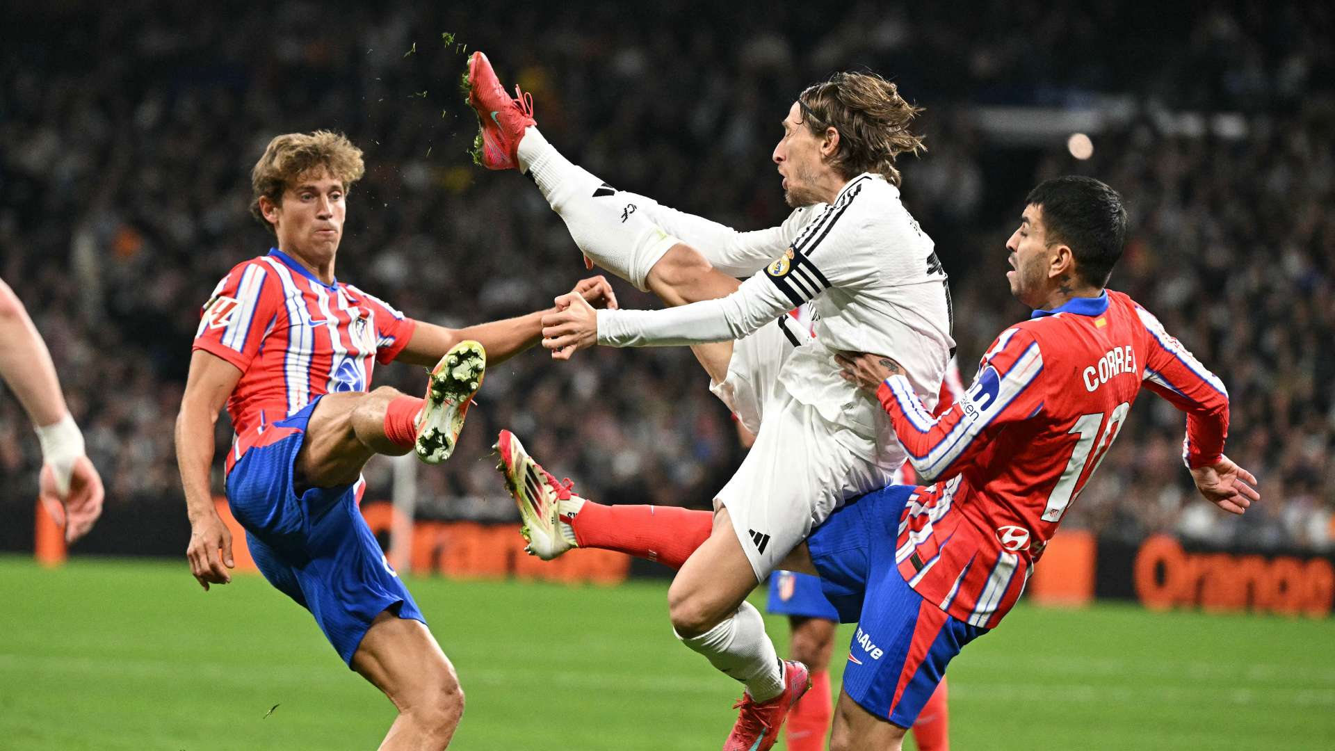 涵盖了多个 涵盖了多个